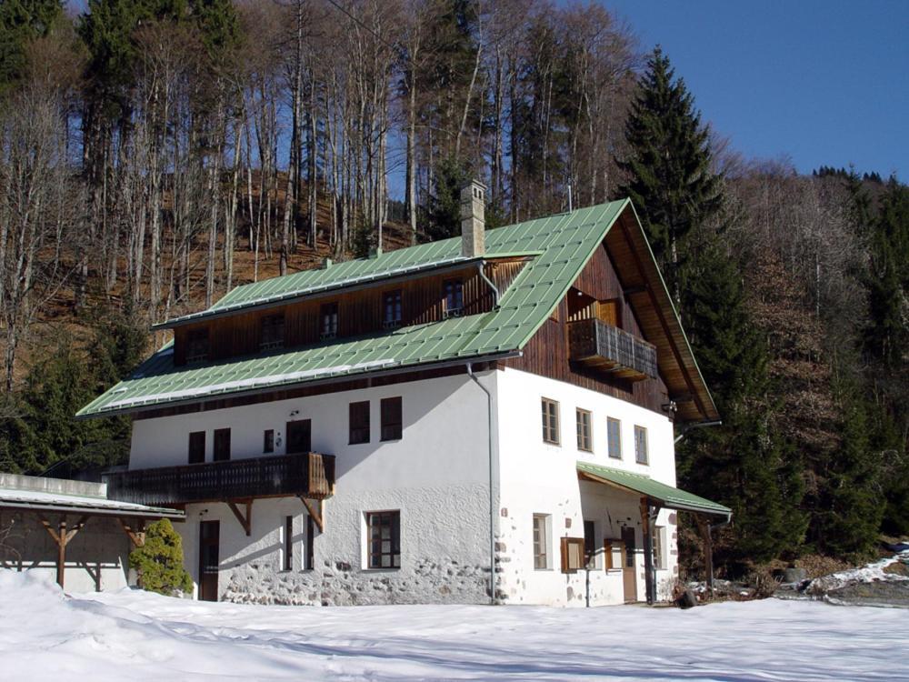 Schloss Manndorf Gaestehaus Kotschach-Mauthen Buitenkant foto