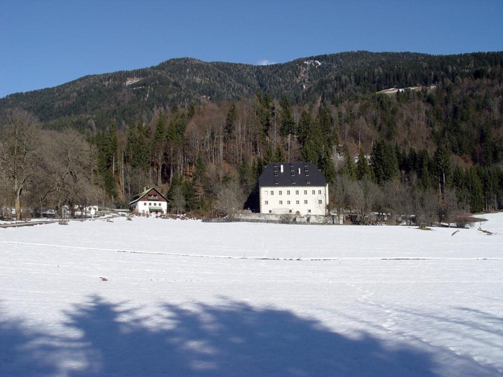 Schloss Manndorf Gaestehaus Kotschach-Mauthen Buitenkant foto