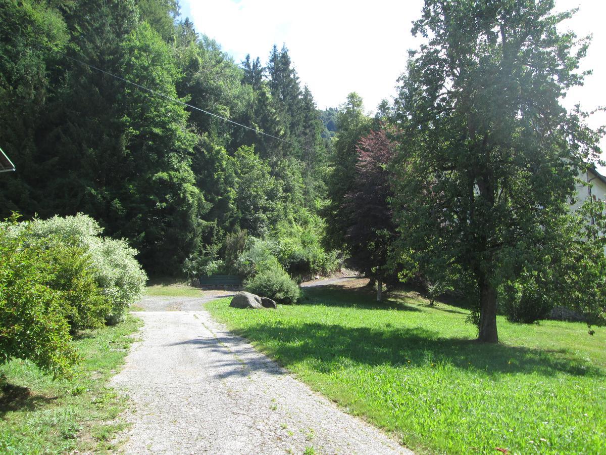 Schloss Manndorf Gaestehaus Kotschach-Mauthen Buitenkant foto